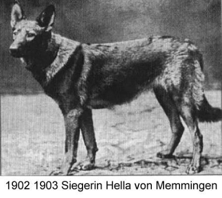 GS 1901, Hella von Memmingen