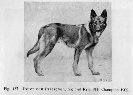 GS VA Peter von Pritschen (1900)