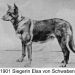 GS 1901, Elsa von Schwaben