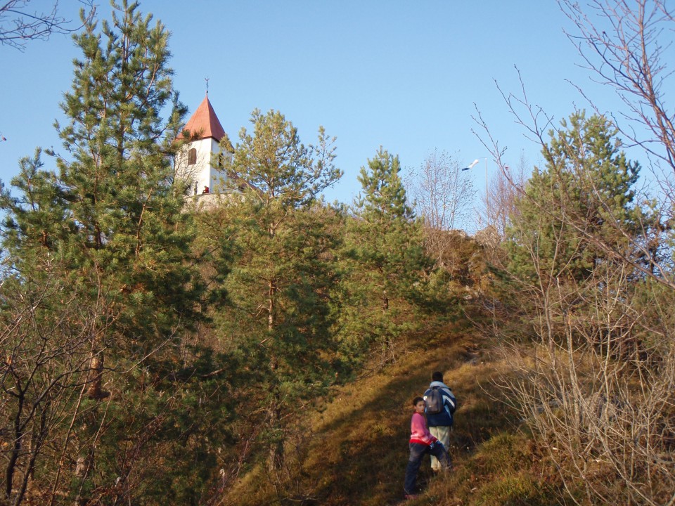 Polhograjska gora S5/CP-024 - foto povečava