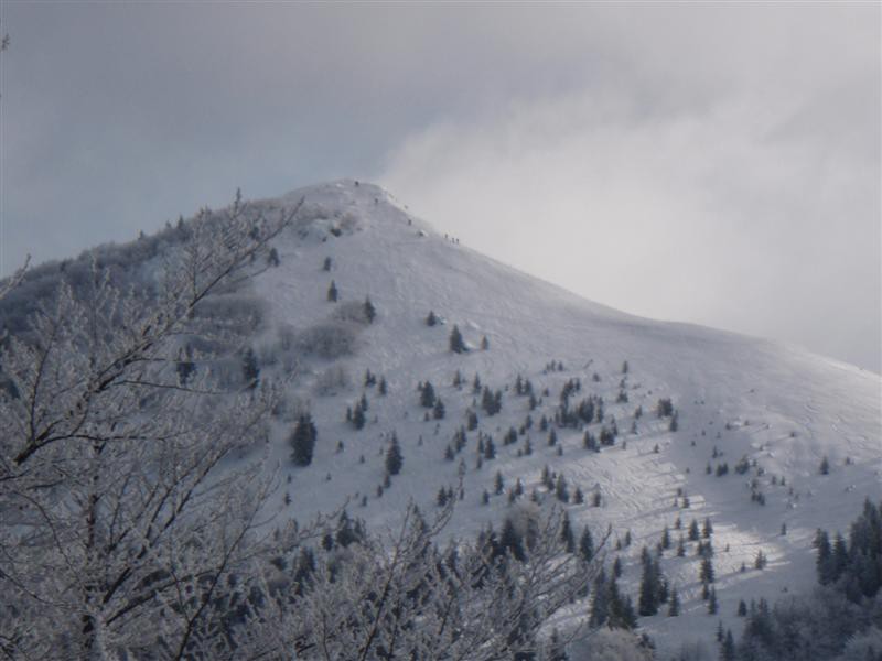 Slatnik S5/JA-035 - foto povečava