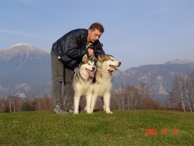 BUGI IN SINKO BLU