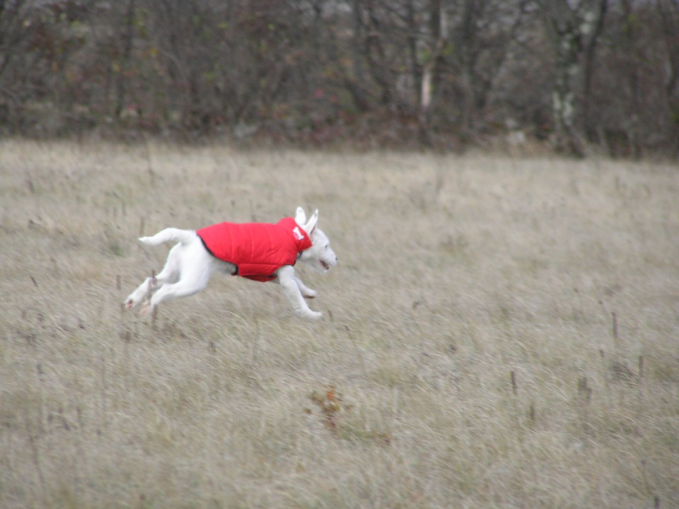 WINNY THE WITCH DE VALO DO CRIZ - foto povečava