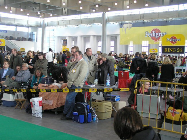 WORLD DOG SHOW POZNAN 2006 - foto povečava