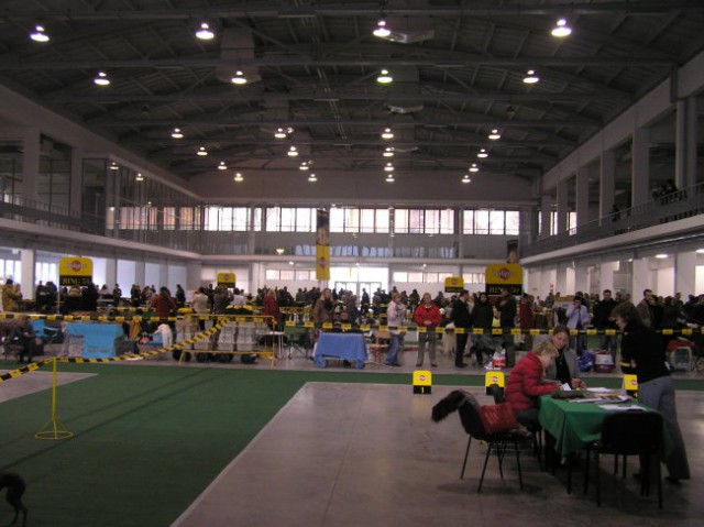 WORLD DOG SHOW POZNAN 2006 - foto