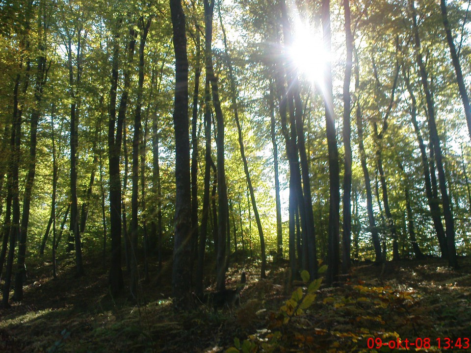 Jesenska Idila - foto povečava