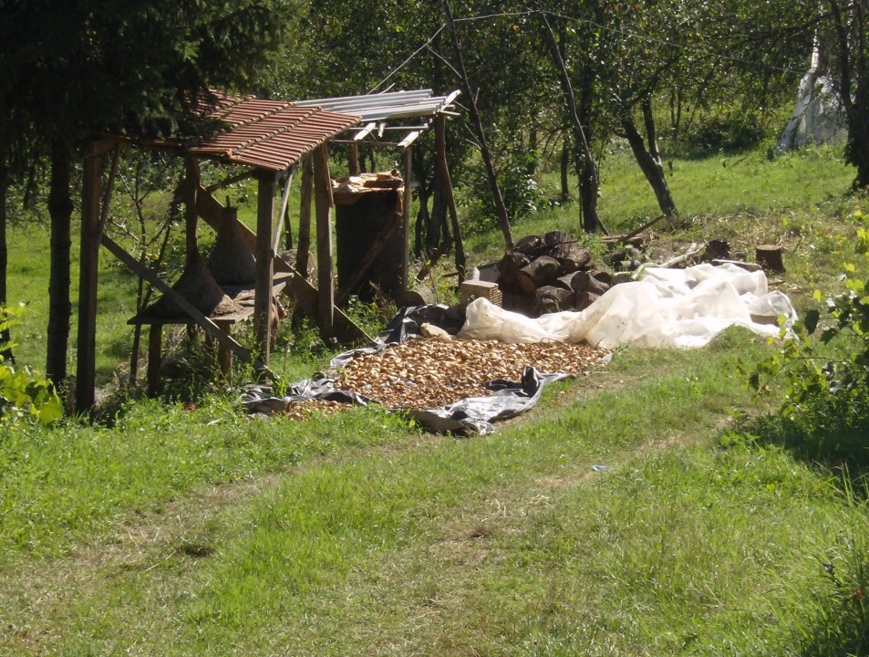 PUNO VOLIM OVO SELO M.GALJIPOVCI AVGUST 2008 - foto povečava