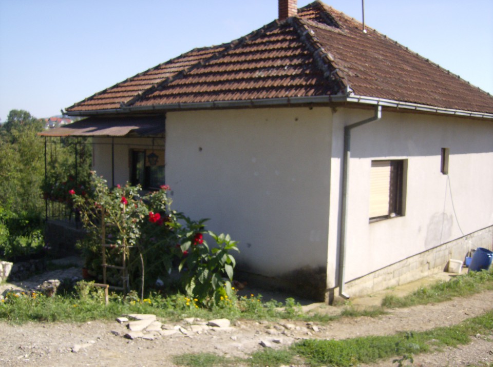 PUNO VOLIM OVO SELO M.GALJIPOVCI AVGUST 2008 - foto povečava