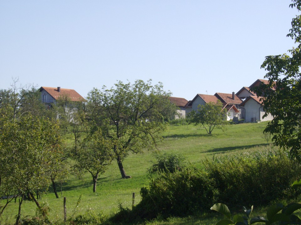 PUNO VOLIM OVO SELO M.GALJIPOVCI AVGUST 2008 - foto povečava