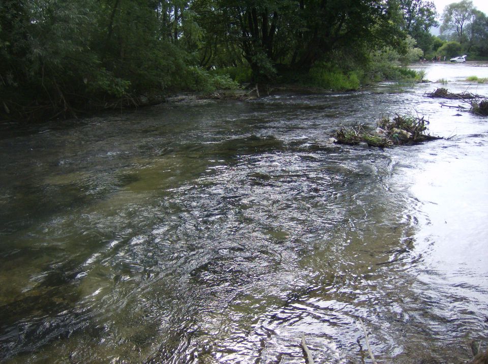 Trnova kod sanskoga mosta 21-22.07.2012 - foto povečava