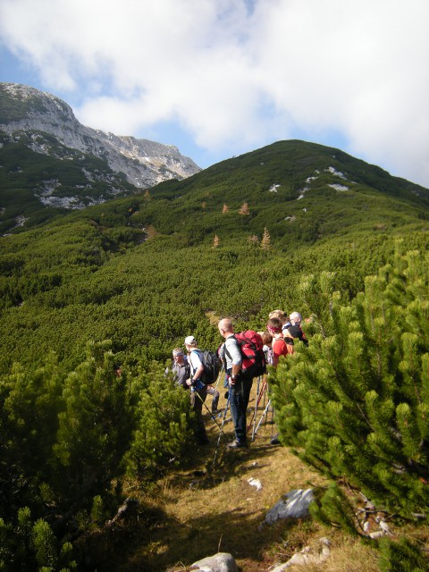 081
Na Sedecu, pogled nazaj na Veliki vrh