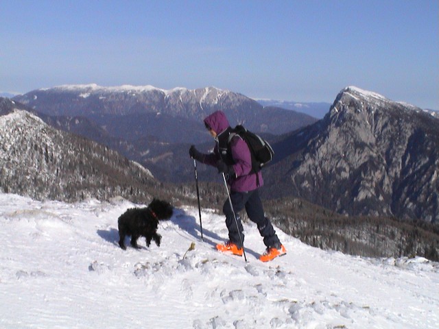 096
Zimska tura na Dleskovec, prihod s psičkom Arnijem na vrh, pogled na Peco in Raduho