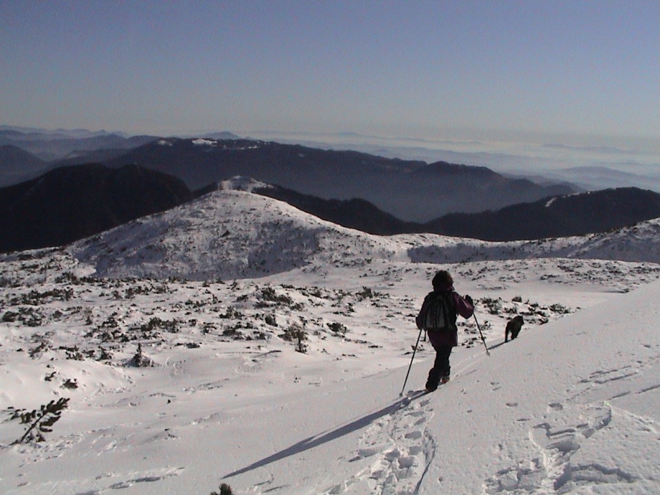 099
Zimska tura na Dleskovec, sestop iz vrha, pogled na Rogatec, Lepenatko in Kašni vrh, 