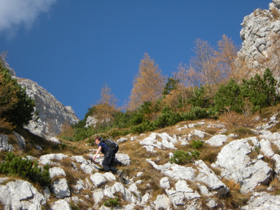 Kukova spica - foto povečava