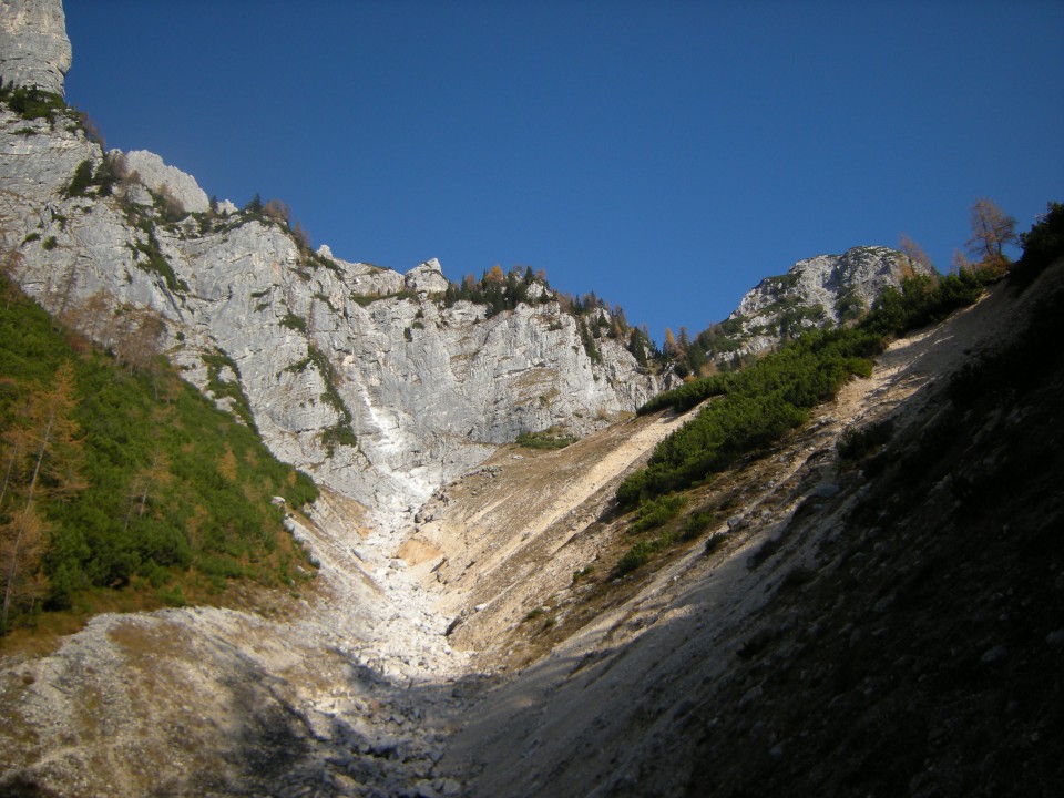 Kukova spica - foto povečava