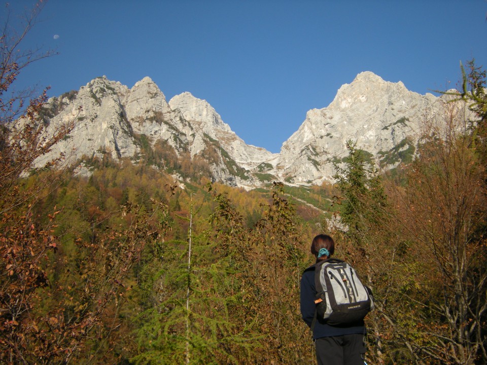 Kukova spica - foto povečava