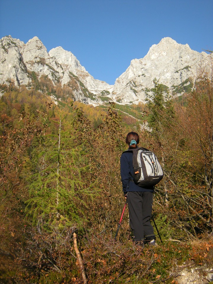 Kukova spica - foto povečava