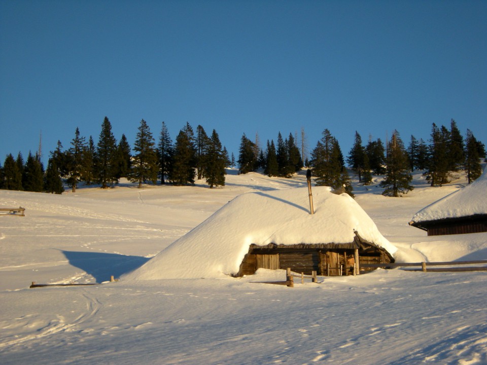 Gojška planina