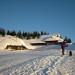 Gojška planina