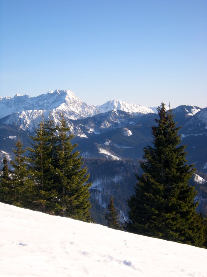 Košuta, nazaj na planini Kofce, pogled na Savinjske Alpe