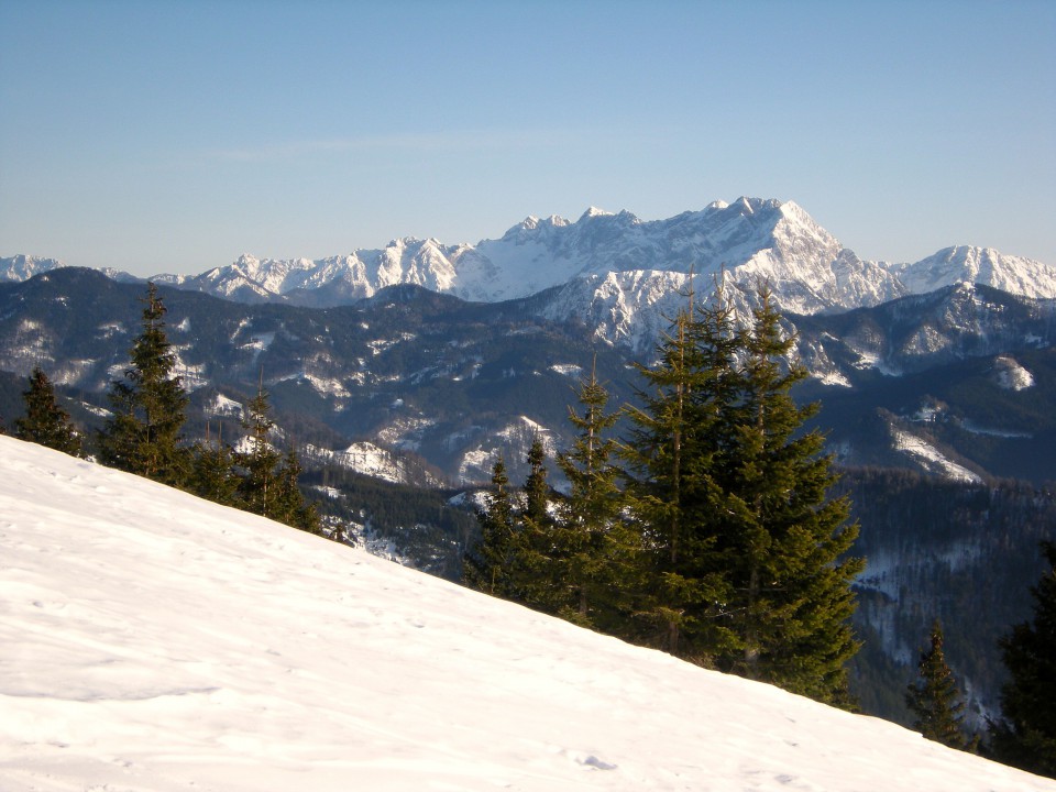 Košuta, nazaj na planini Kofce, pogled na Savinjske Alpe