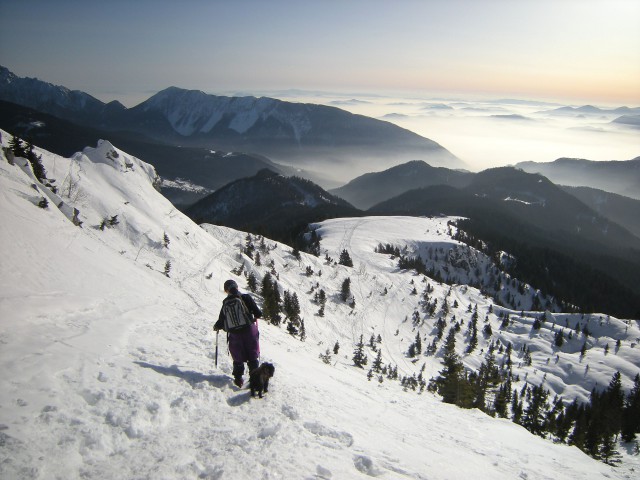 Košuta, spust po strminah Kofce gore, pogled na Tolsti vrh, planino Kofce in Ljubljansko k
