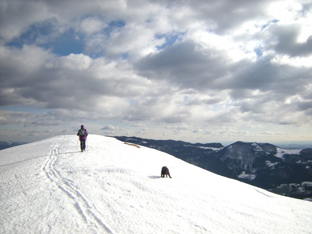 Na Lepenatki, pot naprej, desno Menina planina 