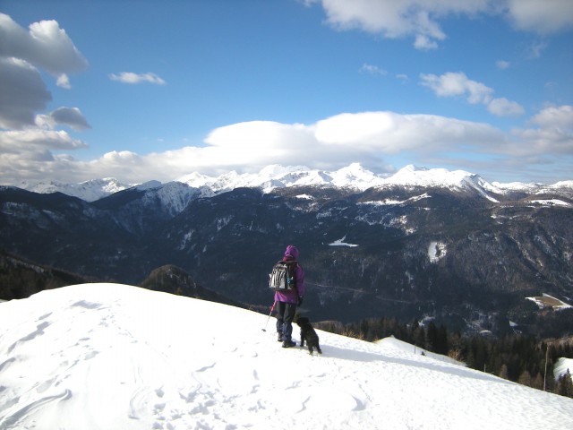 Na Lepenatki, pogled na Kamniško-Savinjske Alpe