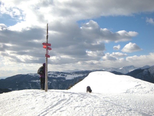 Na vrhu Lepenatke, pogled na Veliko planino, zadaj Kamniške Alpe 