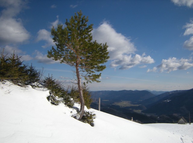 Na Lepenatko, pogled nazaj na Špehovo kapelico in Dobrovlje