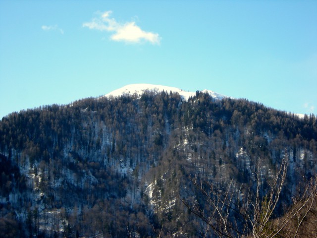 Na Lepenatko, pogled proti vrhu 