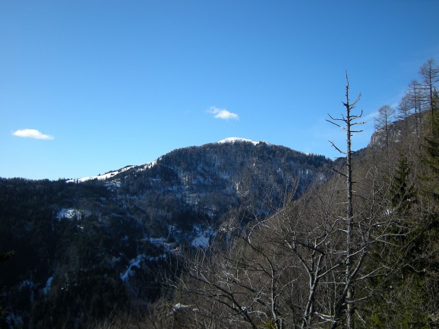Na Lepenatko, pogled proti vrhu 