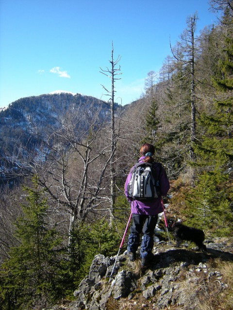 Na Lepenatko, pogled proti vrhu