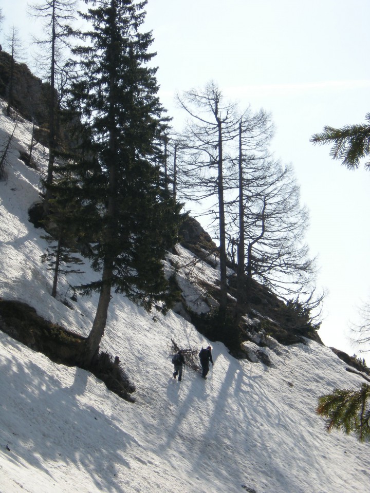 Potočka Zijalka-Obel Kamen - foto povečava