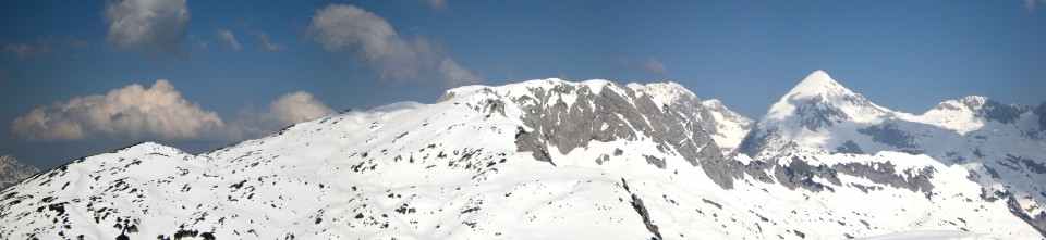 Koren,Kompotevna,Kosuta - foto povečava