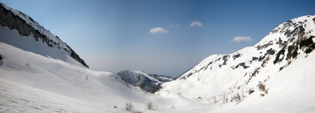 Koren,Kompotevna,Kosuta - foto