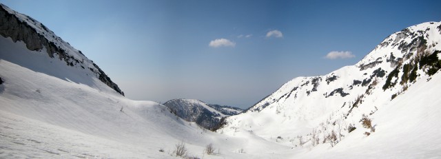 Koren,Kompotevna,Kosuta - foto