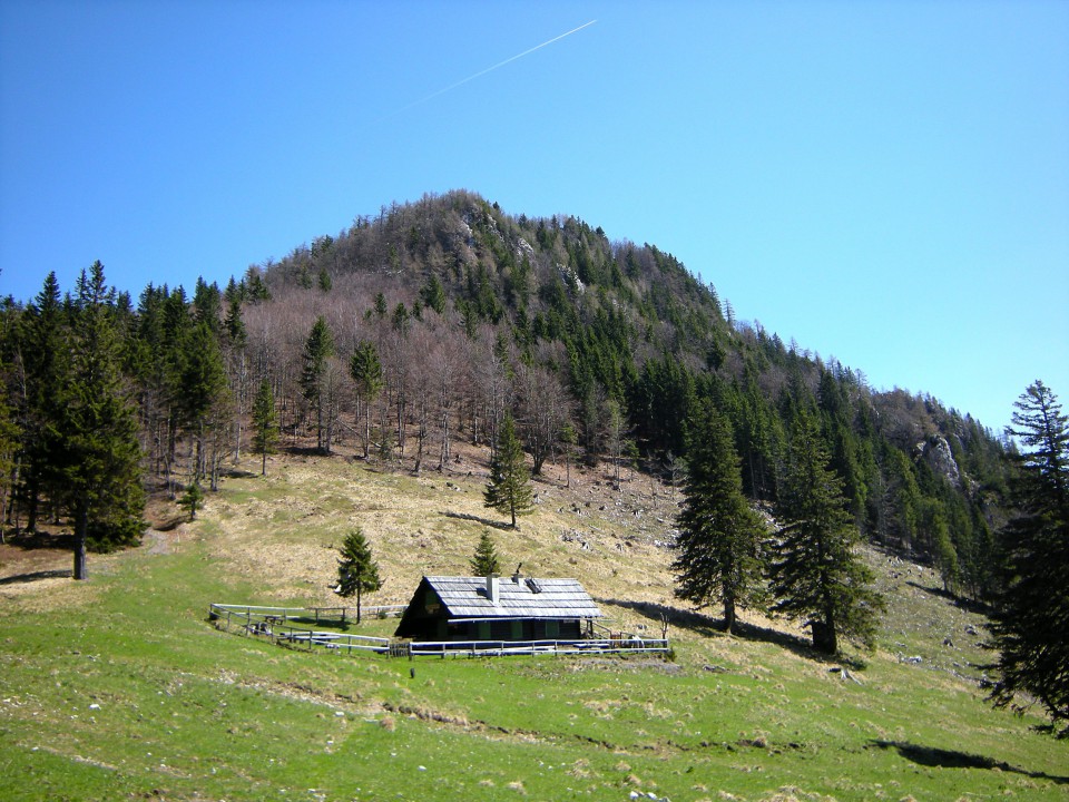 Tolsti vrh, Mala in Velika Poljana - foto povečava