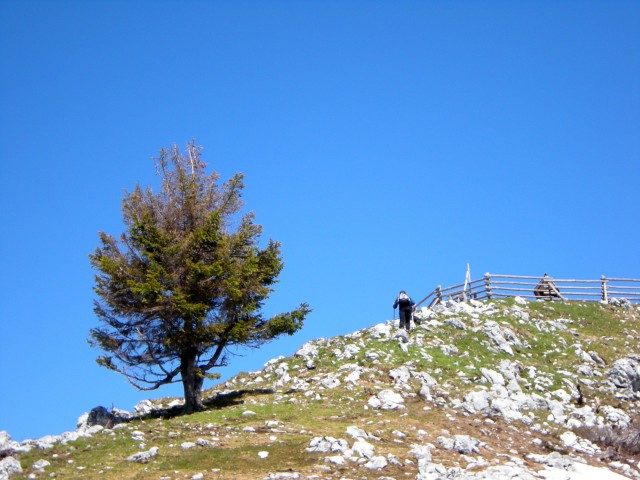 Tolsti vrh, Mala in Velika Poljana - foto