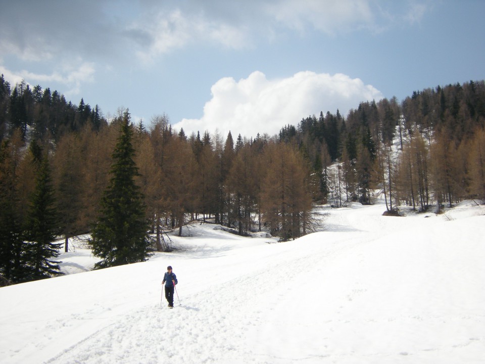 Romanje na sv.Višarje - foto povečava