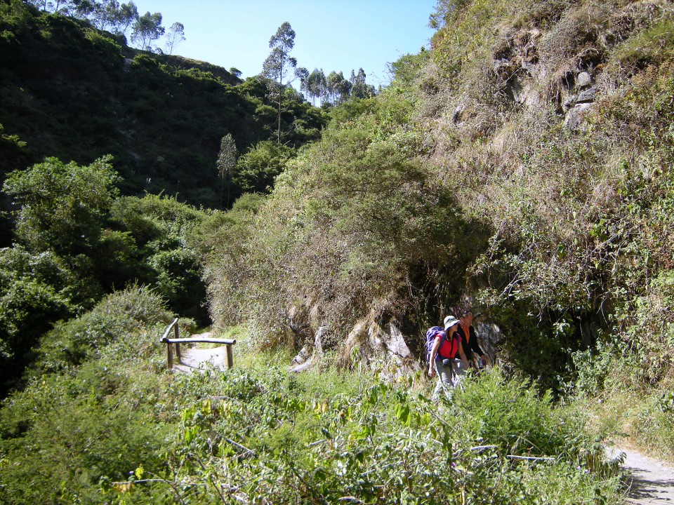Ekvador Park evkaliptusa in slap - foto povečava
