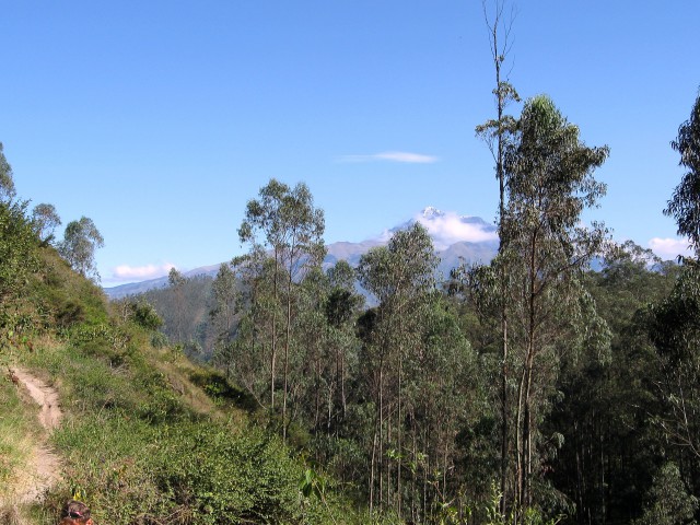 Ekvador Park evkaliptusa in slap - foto