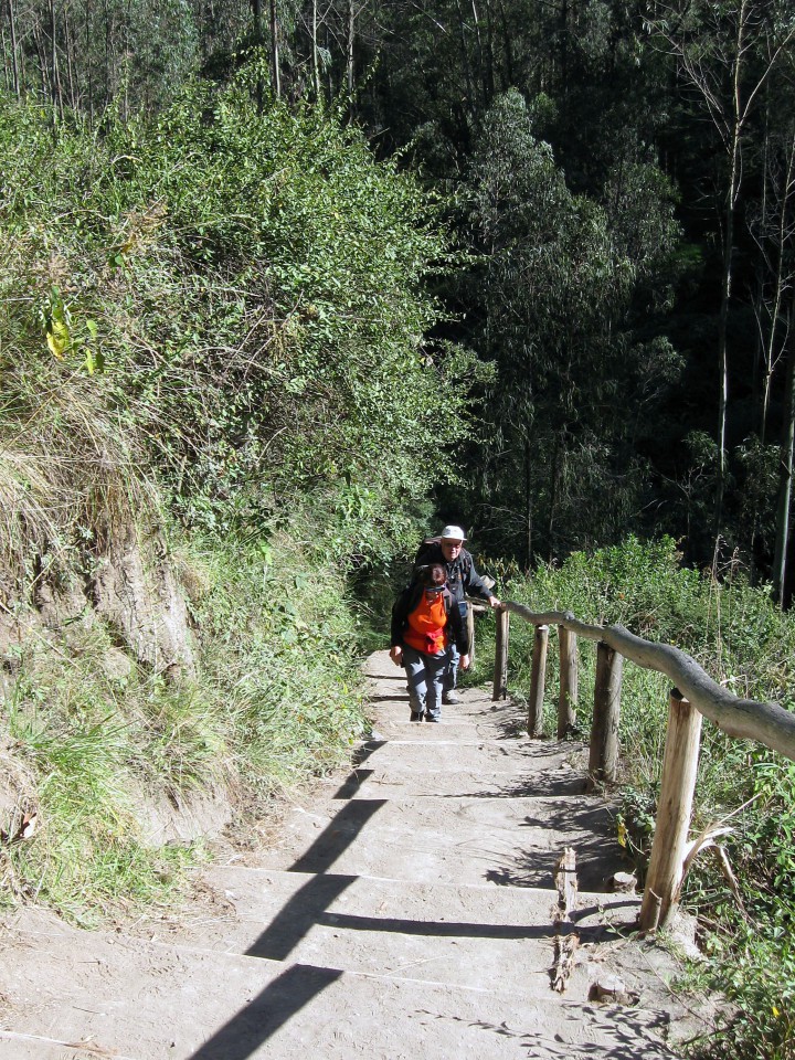 Ekvador Park evkaliptusa in slap - foto povečava