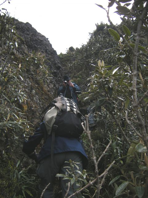 Ekvador Cero Negro - foto