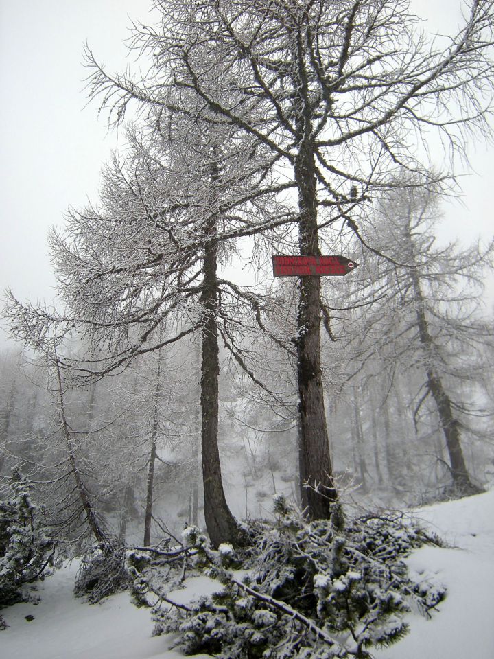 Novoletna tura na Mrežce - foto povečava