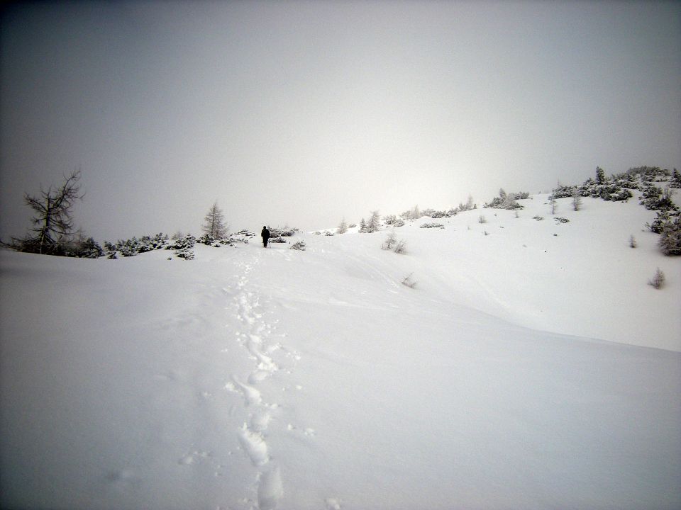 Novoletna tura na Mrežce - foto povečava