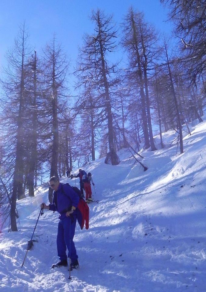 Novoletna tura na Mrežice - foto povečava