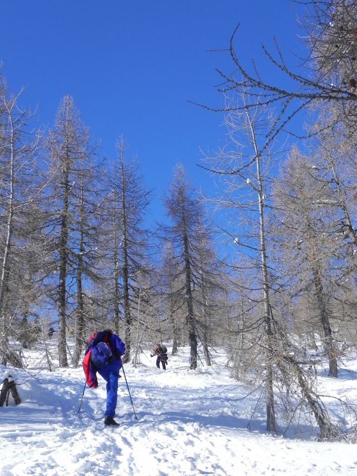 Novoletna tura na Mrežice - foto povečava