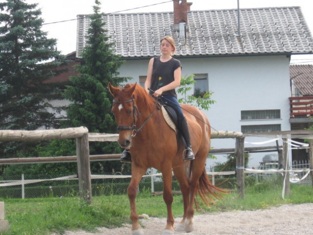 Veliko konj in malo mene :) - foto