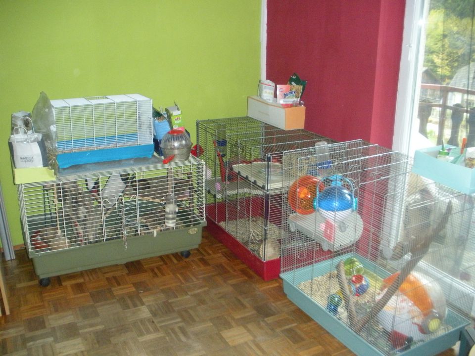 Kletke - foto povečava